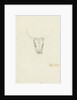 Bovine head by Hendrik Voogd