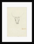 Bovine head by Hendrik Voogd