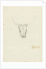 Bovine head by Hendrik Voogd