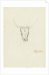 Bovine head by Hendrik Voogd