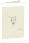 Bovine head by Hendrik Voogd
