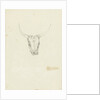 Bovine head by Hendrik Voogd
