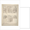 Design for a room painted with scenes from the life of Aeneas by Elias van Nijmegen