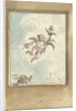 Design for a ceiling painting with a putto and two turtledoves by Elias van Nijmegen