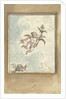 Design for a ceiling painting with a putto and two turtledoves by Elias van Nijmegen