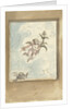 Design for a ceiling painting with a putto and two turtledoves by Elias van Nijmegen