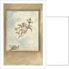 Design for a ceiling painting with a putto and two turtledoves by Elias van Nijmegen