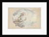 Design for a ceiling painting with putti by Elias van Nijmegen