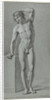 Standing male nude by Jan Kamphuysen