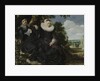 Portrait of a Couple by Frans Hals