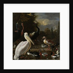 A Pelican and other Birds near a Pool by Melchior d' Hondecoeter