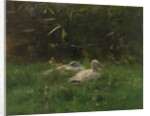 Ducks by Willem Maris