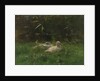 Ducks by Willem Maris