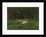 Ducks by Willem Maris