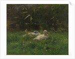 Ducks by Willem Maris