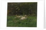 Ducks by Willem Maris