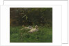 Ducks by Willem Maris