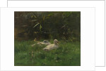 Ducks by Willem Maris