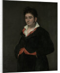 Portrait of Don Ramón Satué by Francisco José de Goya y Lucientes