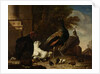 A Hen with Peacocks and a Turkey by Melchior d' Hondecoeter