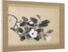 Scroll Painting with magnolia by Yamamura Kôka