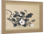 Scroll Painting with magnolia by Yamamura Kôka