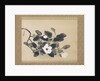 Scroll Painting with magnolia by Yamamura Kôka