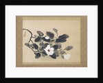Scroll Painting with magnolia by Yamamura Kôka