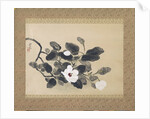 Scroll Painting with magnolia by Yamamura Kôka