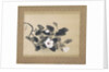 Scroll Painting with magnolia by Yamamura Kôka