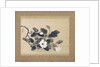 Scroll Painting with magnolia by Yamamura Kôka