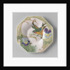 Dish, part of a set, painted with bird and violins by C.W.J. 't Hart
