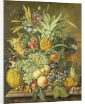 Still Life with Fruit by Jacobus Linthorst