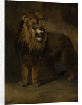 Lion, from the Menagerie of Napoleon III, Emperor of the French, 1808 by Pieter Gerardus van Os