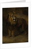 Lion, from the Menagerie of Napoleon III, Emperor of the French, 1808 by Pieter Gerardus van Os