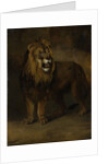 Lion, from the Menagerie of Napoleon III, Emperor of the French, 1808 by Pieter Gerardus van Os