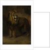 Lion, from the Menagerie of Napoleon III, Emperor of the French, 1808 by Pieter Gerardus van Os
