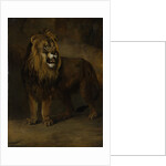 Lion, from the Menagerie of Napoleon III, Emperor of the French, 1808 by Pieter Gerardus van Os