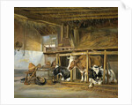 Cows in a Stable by Jan van Ravenswaay