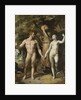 The Fall of Man by Cornelis Cornelisz. van Haarlem