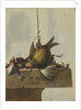 Still Life with Birds by William Gowe Ferguson