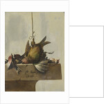 Still Life with Birds by William Gowe Ferguson