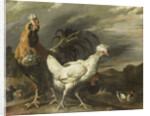 Cock, a Hen and other Poultry by Pieter Jansz. van Ruyven