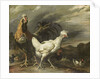 Cock, a Hen and other Poultry by Pieter Jansz. van Ruyven
