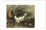 Cock, a Hen and other Poultry by Pieter Jansz. van Ruyven