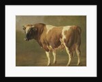 Study of a Bull by Jacques Raymond Brascassat