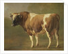 Study of a Bull by Jacques Raymond Brascassat