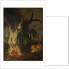 Dead roosters by Christoffel Puytlinck