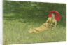 Summer afternoon by Frits Jansen