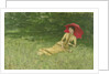 Summer afternoon by Frits Jansen